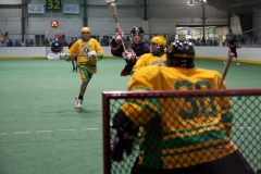 onondaga_newtown-01