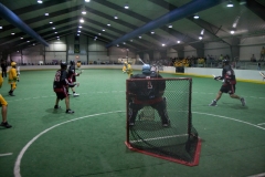 onondaga_newtown-05